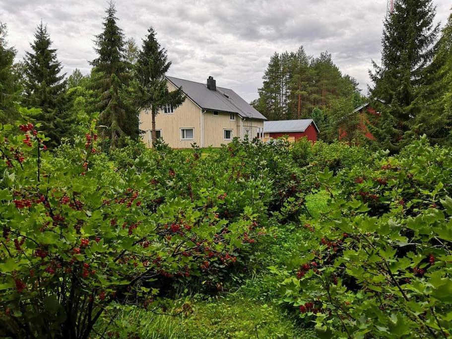 Koivu Mukava Mummonmoekki Maaseudun Rauhassa 빌라 외부 사진